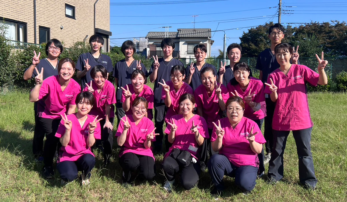活動歴および当時の関連ビジュアル記録
